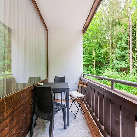 Apartment In Bad Goisern