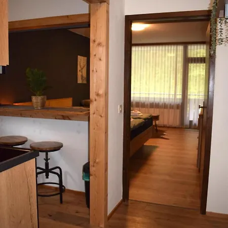 In Apartment Bad Goisern