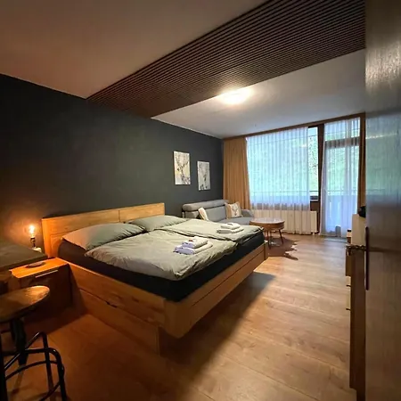 Apartment In Bad Goisern