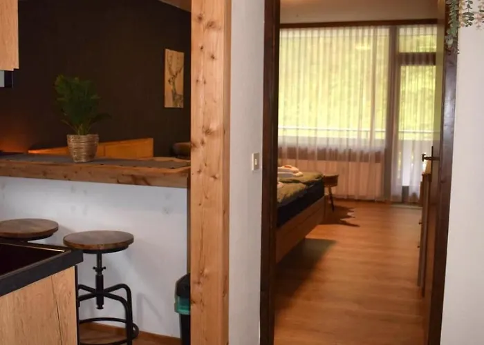 In شقة باد غويسرن