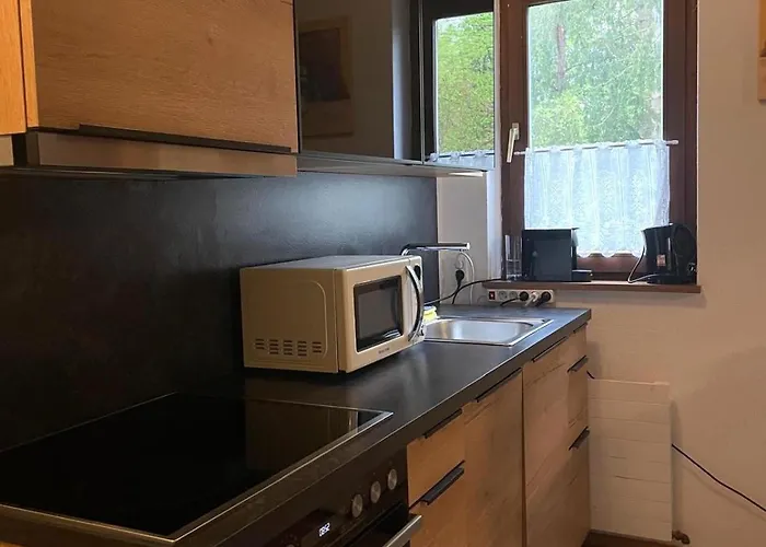 In * باد غويسرن